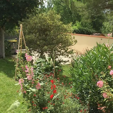 펜션 La Maison D'alice Mas-Grenier