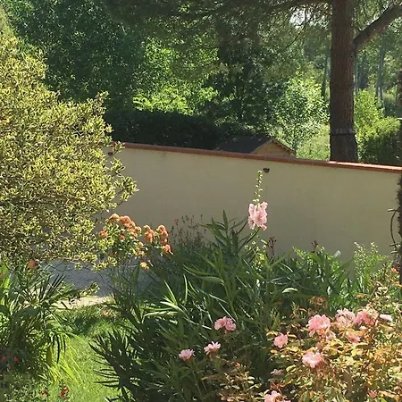 La Maison D'alice * Finhan